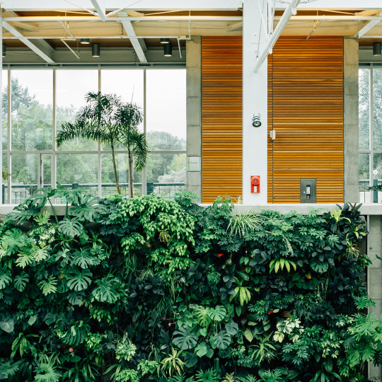 Vertical Gardening for Your Balcony
