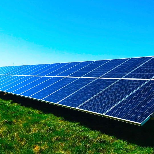 How Go Green Helps the Environment