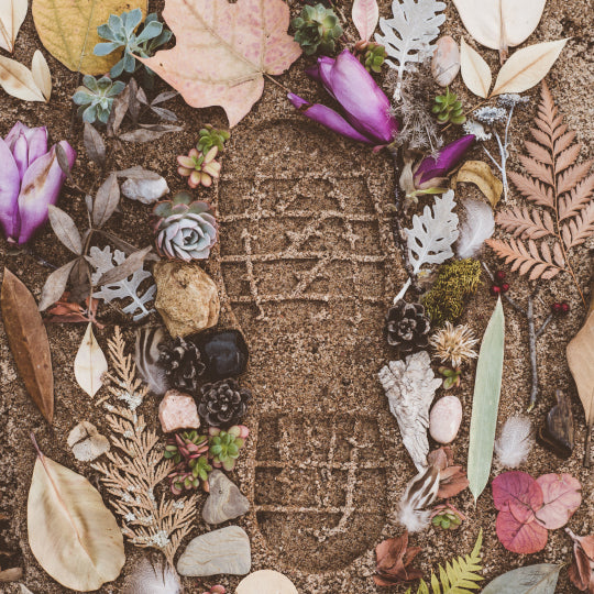 Questions for a Greener Footprint in 2020
