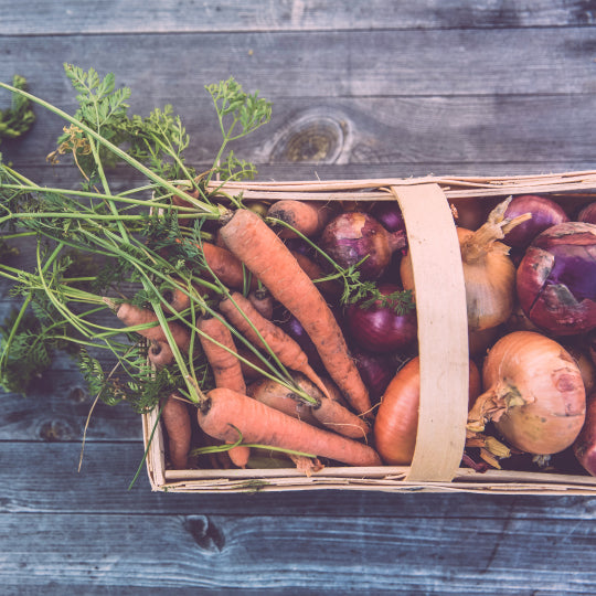 Growing Vegetables in Urban Gardens