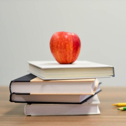 How to Reduce Waste in School