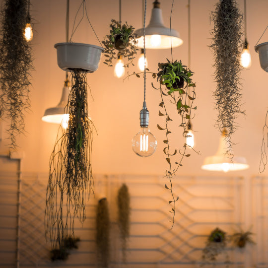 What is Eco Light with 3 Useful Advices
