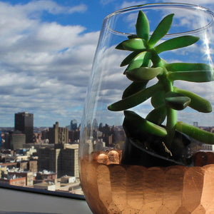 10+ DIY Eco-Friendly Tips for Glass at Home